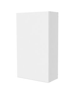 Nerine 42-in H x 12-in D Wall cabinet. 1 door, 3 height adjustable / removable shelves
