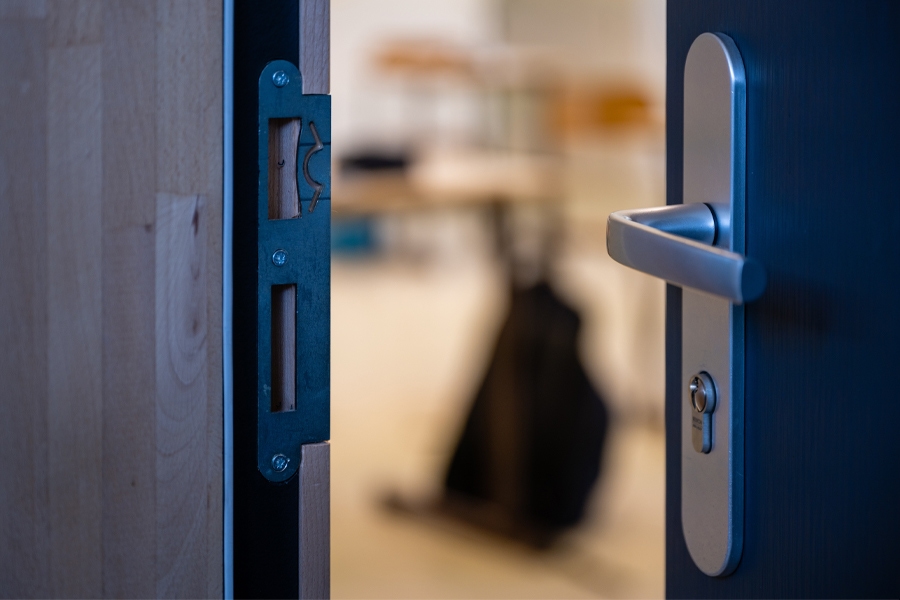 Strike plate and door handle