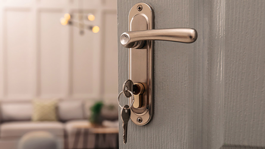 keyed door lever with backplate